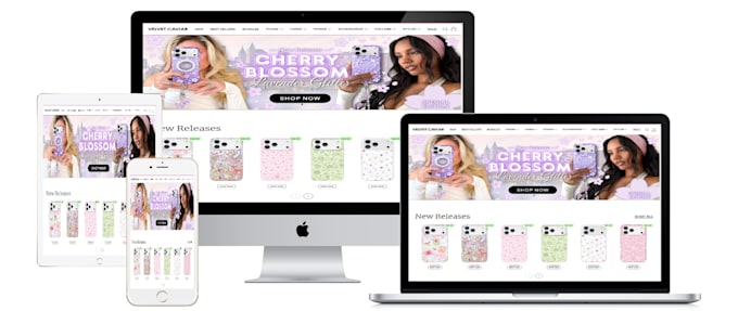 build shopify dropshipping store, design or redesign website