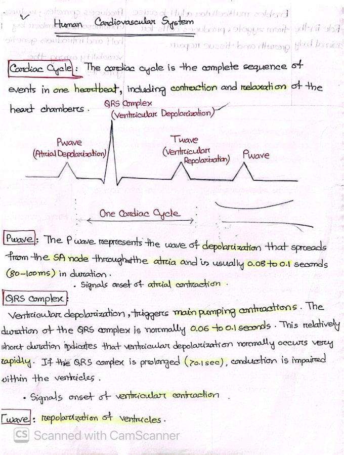 create aesthetic handwritten notes for study