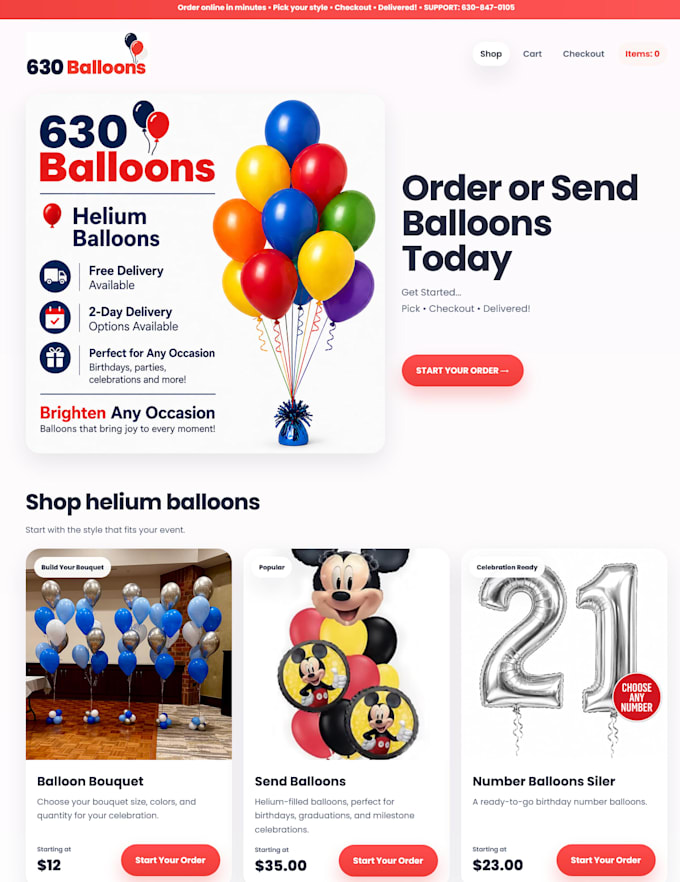 build professional business website