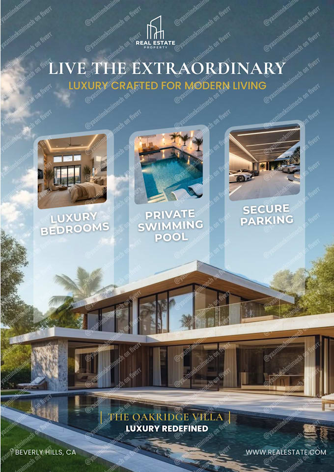 design a professional flyer
