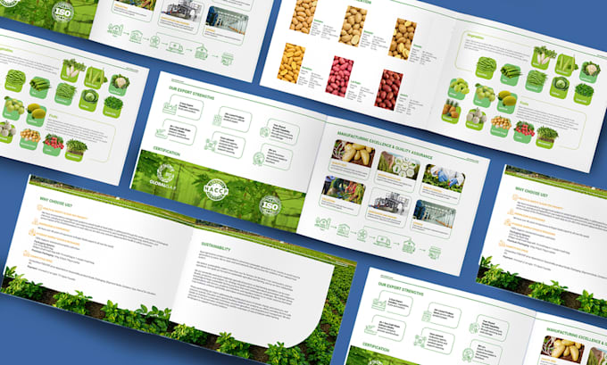 design a professional product catalog or lookbook