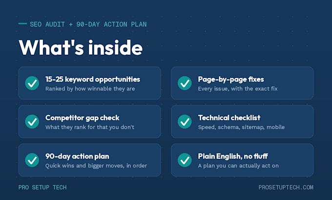 do a local SEO audit and give you a 90 day action plan