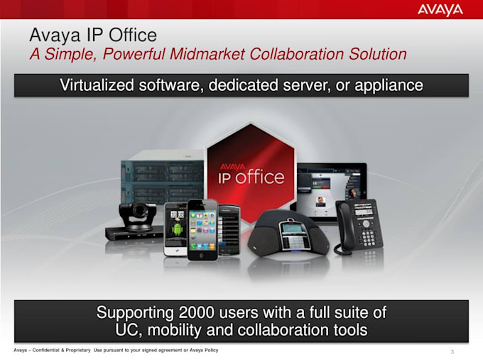 provide remote support for avaya telephony system