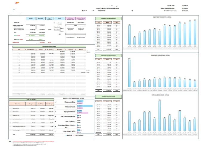 create a professional construction cost control dashboard
