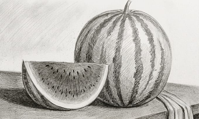 draw detailed handmade still life and object illustrations