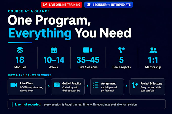 teach you machine learning with python live classes