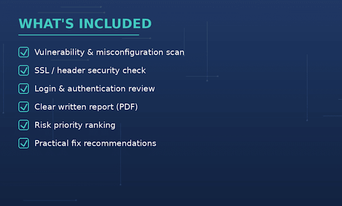perform a basic website or system security and vulnerability check