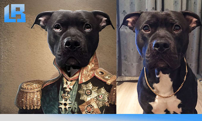create a custom pet portrait