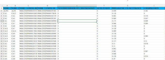 clean and organize excel data