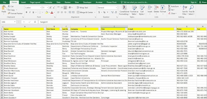 clean and standardize your excel contact database