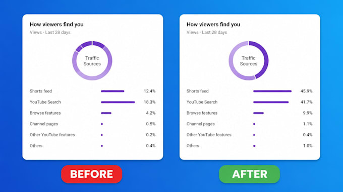 do professional youtube video SEO optimization