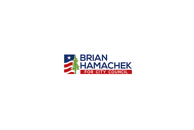 design unique professional political campaign logo