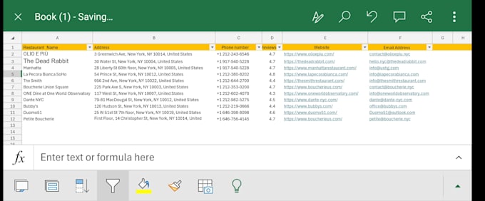 convert PDF to excel and do data entry