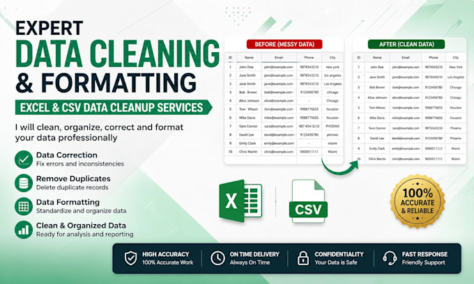 clean, format, organize and fix excel or CSV data professionally