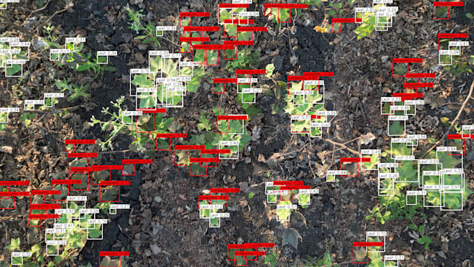 annotate custom image datasets for rare, untrained objects