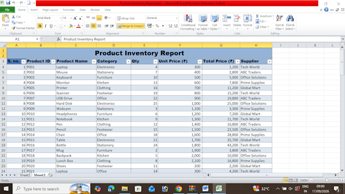 excel data entry and formatting