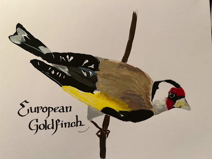 draw traditional bird illustration
