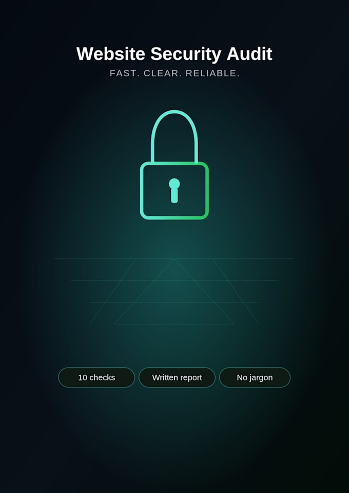 audit your website for common security vulnerabilities