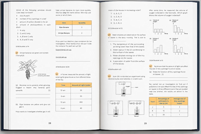 design textbook and workbook in indesign