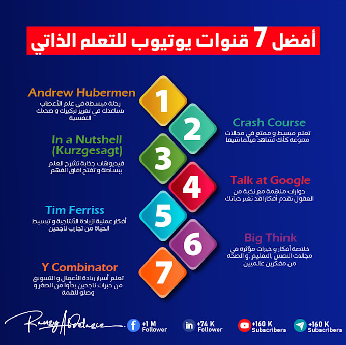 design a professional custom infographic in illustrator