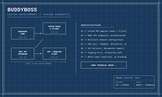 develop custom buddypress buddyboss social network with hooks, filters and API