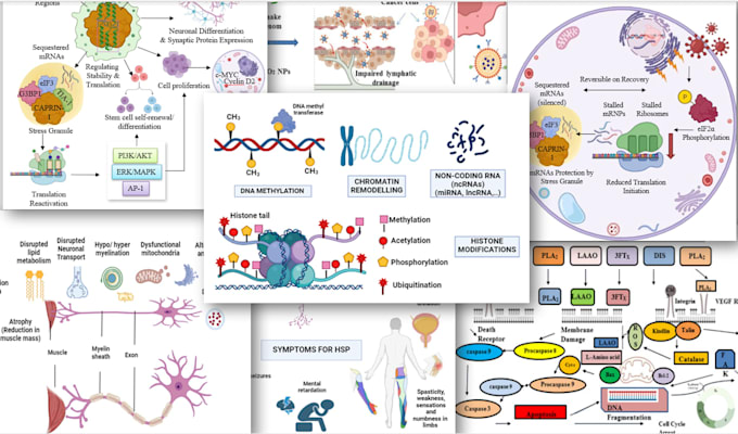 create scientific figures, infographics, and flowcharts
