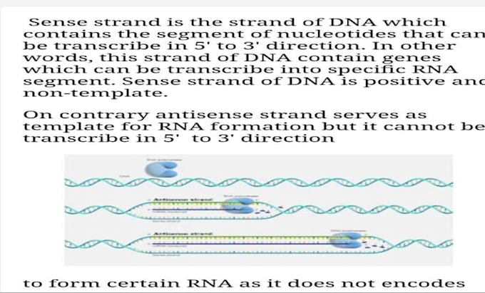 write and proofread biology content and design CV