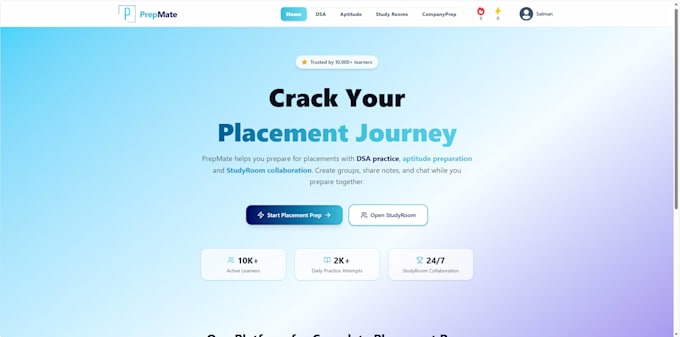 deliver custom industry grade website