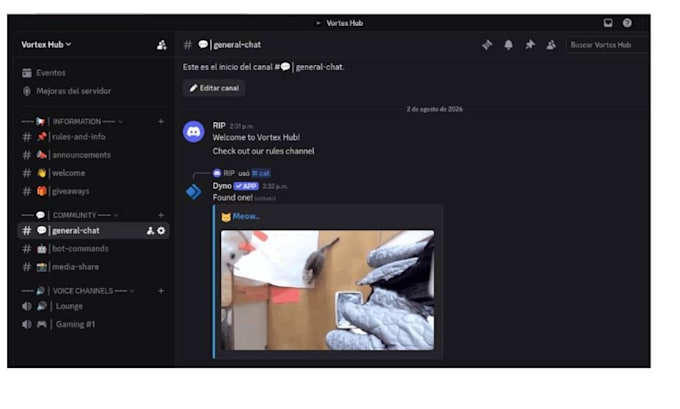 set up a professional discord server with bots and roles