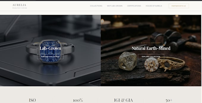 build a full stack dynamic website