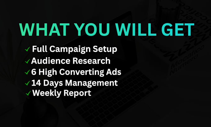 setup and manage facebook ads campaign for sales