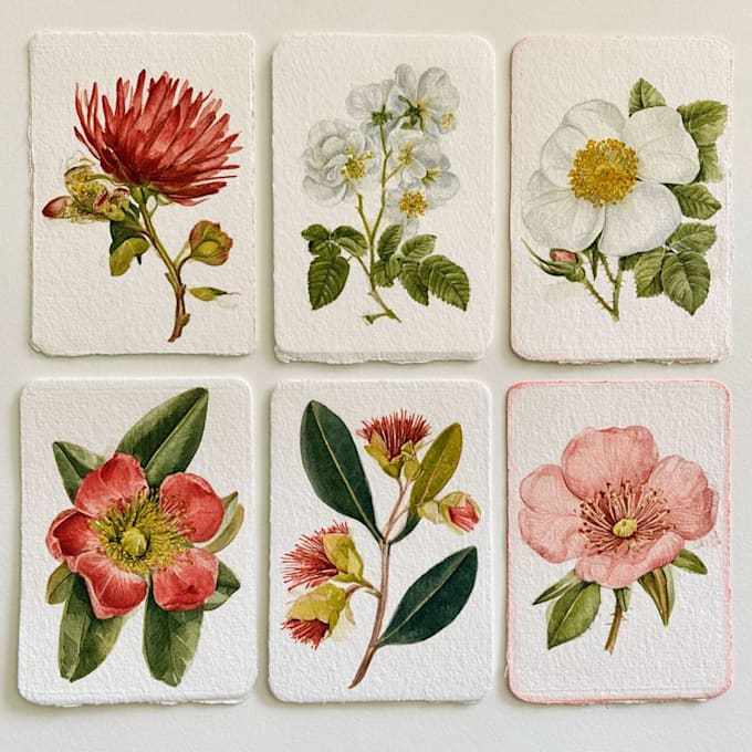 illustrate best botanical illustration