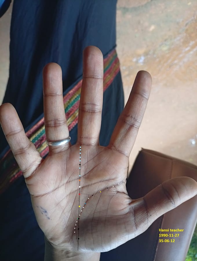 palmistry and numerology futter predicter