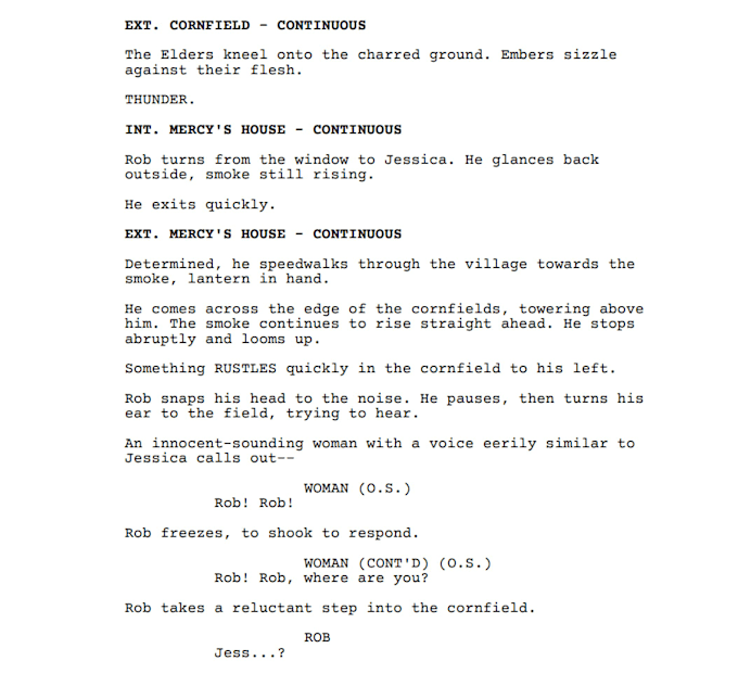 provide feedback and detailed notes on your screenplay