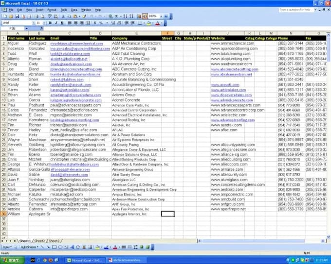 messy data cleaning, excel formatting, and bulk data entry