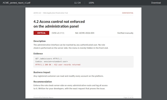 do a professional penetration test and security assesment