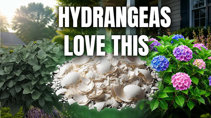 design eyecatching gardening video thumbnails