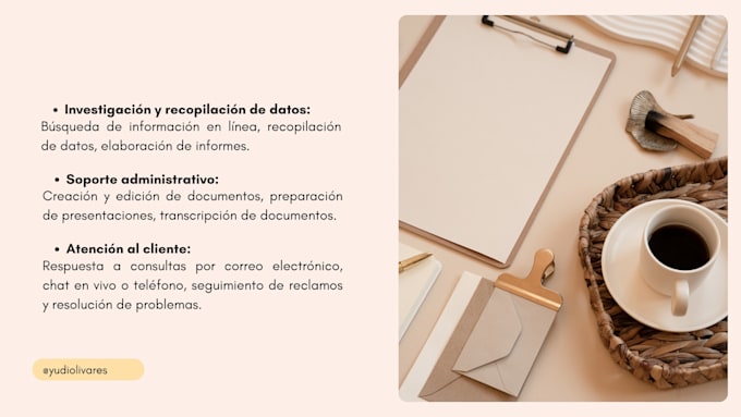 exel data organización project