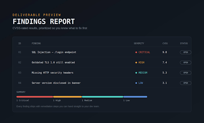 perform a professional vulnerability scan on your website or network