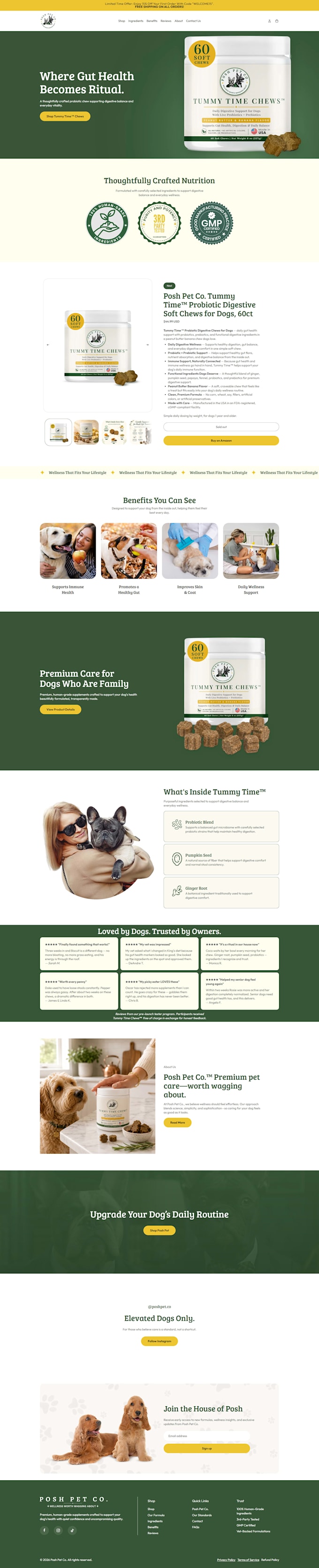 build a premium shopify store