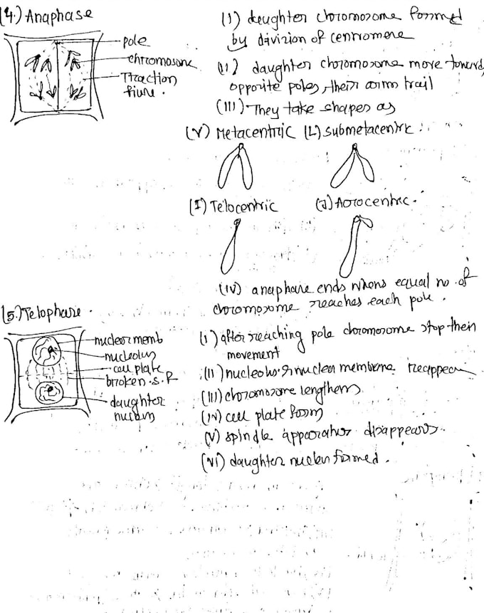write your notes in clear and neat handwriting