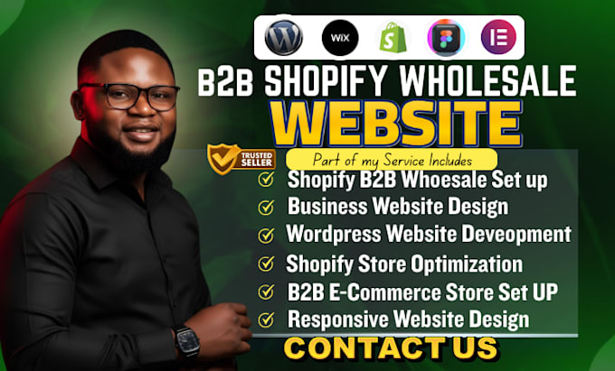 design or redesign b2b business website, shopify website and wordpress website