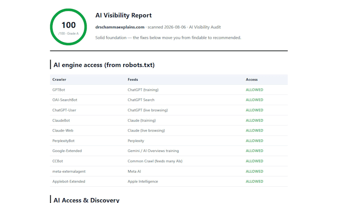 audit your website ai visibility on chatgpt perplexity and google ai
