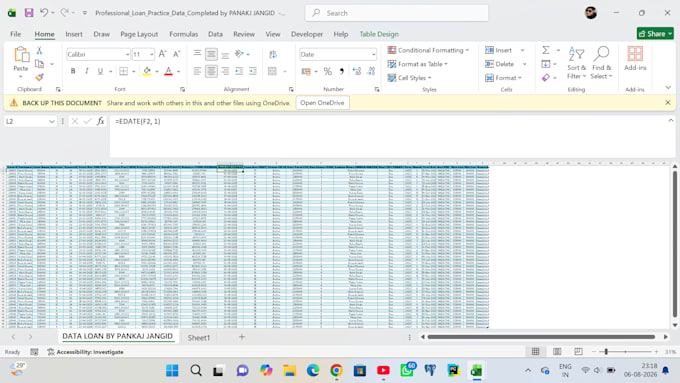 do professional data entry