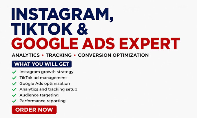 instagram tiktok facebook ads google ads marketing ecommerce ads setup