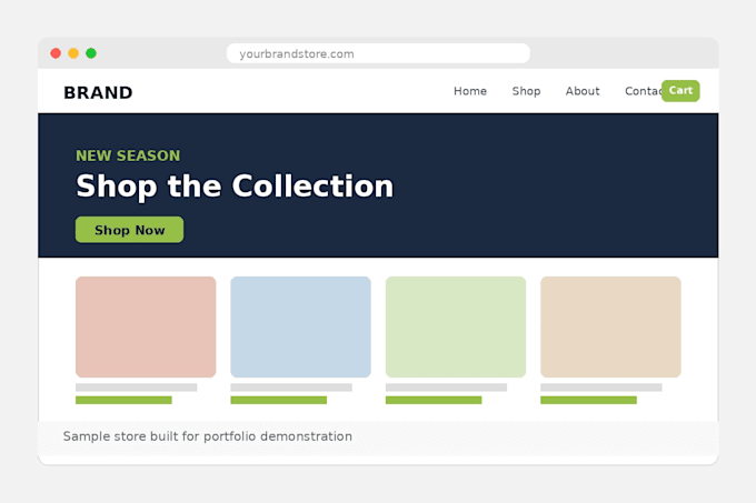build a professional shopify dropshipping store