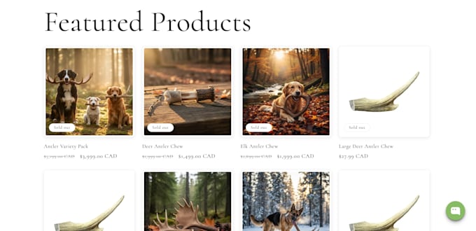 design and develop a premium shopify website