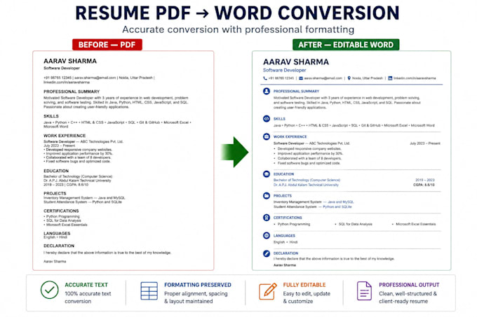 do accurate data entry and excel data formatting