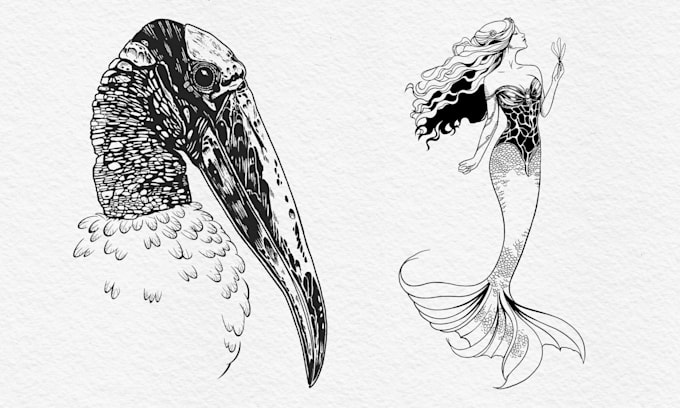 draw custom line art vintage hand drawn illustration