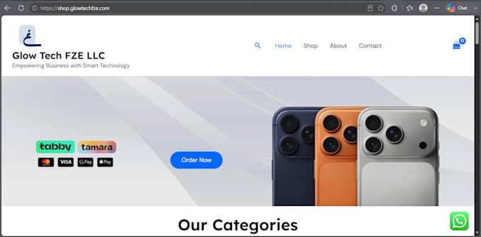 design a professional wordpress website